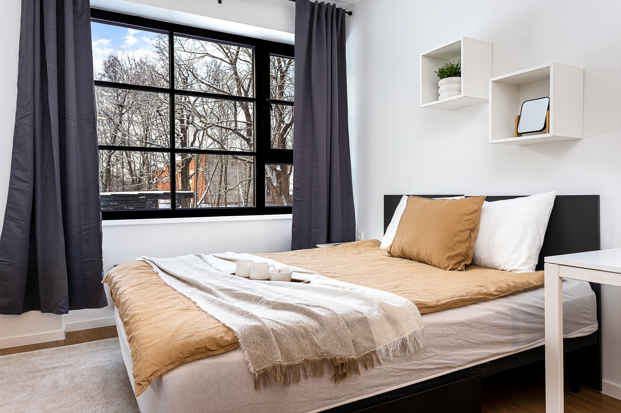 Photo of the room