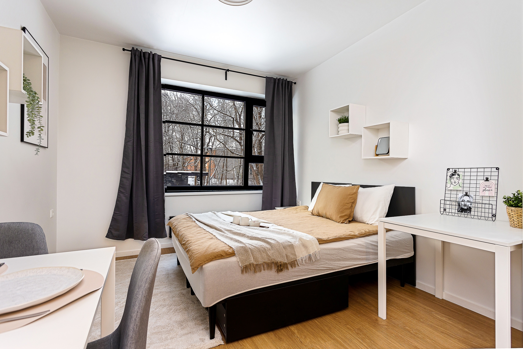 Photo of the room