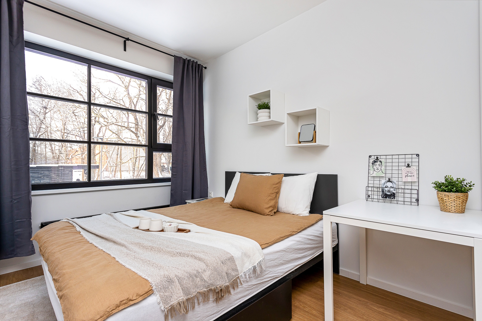 Photo of the room